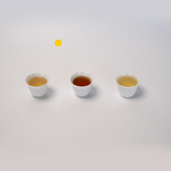 일상 차