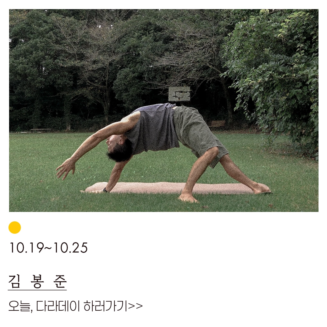 다라데이 매일 20분 온라인 요가와 제주 다라요가스튜디오 안내 배너